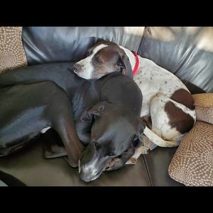 Meet your Posher, Mia